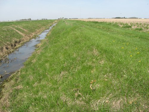Property photo 18 - 172 Acres Offered in 3 Tracts - Prime Farmland